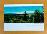 4 Pack Postcards by Heather Friedli